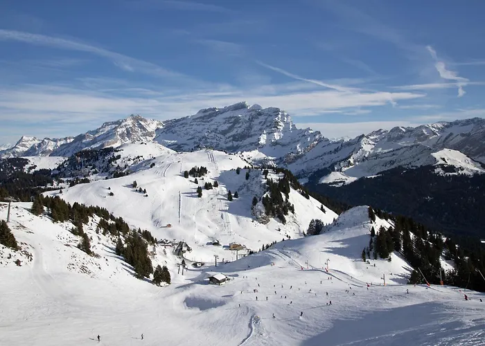 La-ina By Interhome Lejlighed Chesières