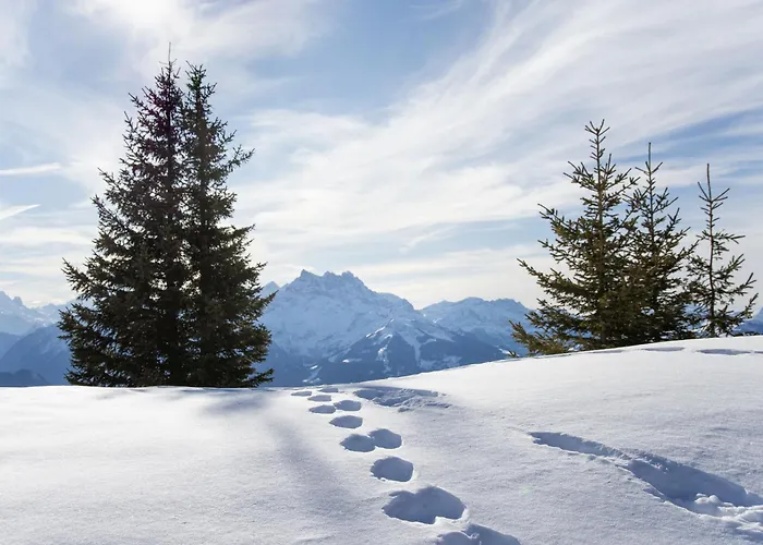 La-ina By Interhome Chesieres